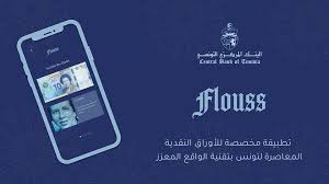 Flouss key art